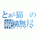 とある猫の縦横無尽（甘えん坊）