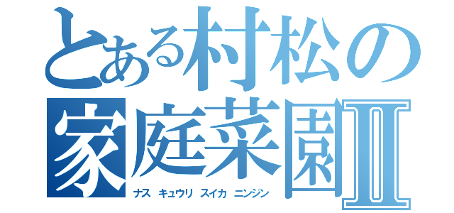 とある村松の家庭菜園Ⅱ（ナス キュウリ スイカ ニンジン）