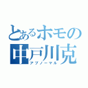 とあるホモの中戸川克毅（アブノーマル）