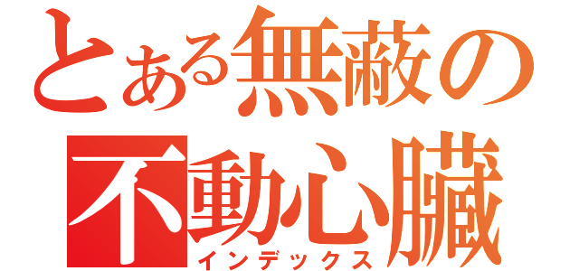 とある無蔽の不動心臟（インデックス）