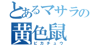 とあるマサラの黄色鼠（ピカチュウ）