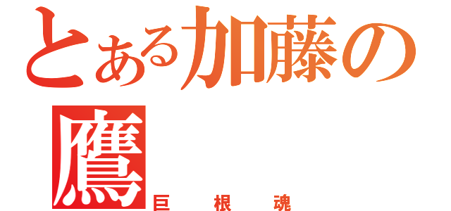 とある加藤の鷹（巨根魂）