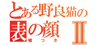 とある野良猫の表の顔Ⅱ（嘘つき）