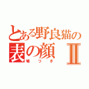 とある野良猫の表の顔Ⅱ（嘘つき）