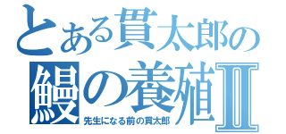 とある貫太郎の鰻の養殖Ⅱ（先生になる前の貫太郎）