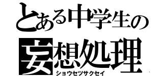 とある中学生の妄想処理（ショウセツサクセイ）