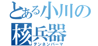 とある小川の核兵器（テンネンパーマ）