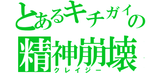 とあるキチガイの精神崩壊（クレイジー）