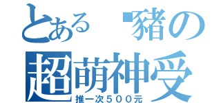 とある噓豬の超萌神受（推一次５００元）