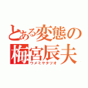 とある変態の梅宮辰夫（ウメミヤタツオ）