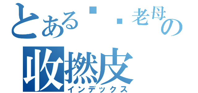 とある屌你老母の收撚皮（インデックス）