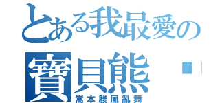 とある我最愛の寶貝熊貓（嵩本駿風亂舞）