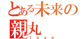 とある未来の親丸（ｌｏｖｅ）