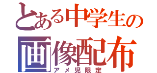 とある中学生の画像配布（アメ児限定）