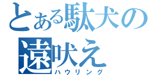 とある駄犬の遠吠え（ハウリング）