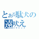 とある駄犬の遠吠え（ハウリング）