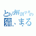 とある解剖学者の猫、まる（日常）