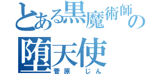 とある黒魔術師の堕天使（菅原 じん）