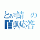 とある鯖の自動応答（ボット）