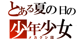 とある夏の日の少年少女（メカクシ団）
