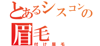 とあるシスコンの眉毛（付け眉毛）