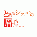 とあるシスコンの眉毛（付け眉毛）