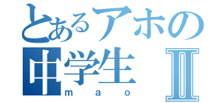 とあるアホの中学生Ⅱ（ｍａｏ）