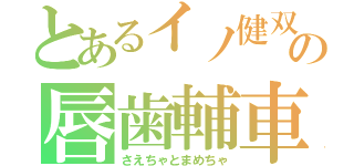 とあるイノ健双子の唇歯輔車（さえちゃとまめちゃ）