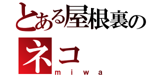 とある屋根裏のネコ（ｍｉｗａ）