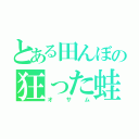 とある田んぼの狂った蛙（オサム）