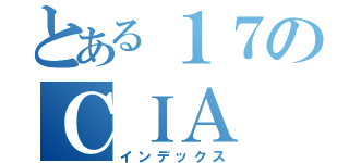 とある１７のＣＩＡ（インデックス）