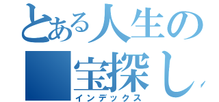 とある人生の　宝探し（インデックス）