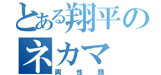 とある翔平のネカマ（両性類）