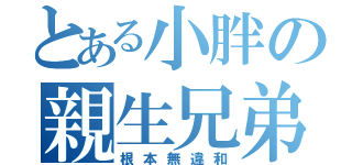 とある小胖の親生兄弟（根本無違和）