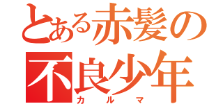 とある赤髪の不良少年（カルマ）