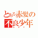 とある赤髪の不良少年（カルマ）