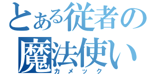 とある従者の魔法使い（カメック）