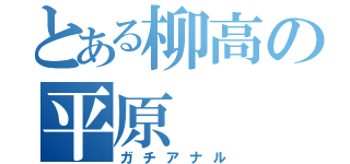 とある柳高の平原  晋（ガチアナル）