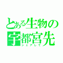 とある生物の宇都宮先生（シェアして）