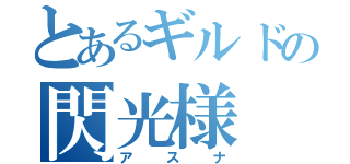 とあるギルドの閃光様（アスナ）