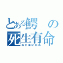 とある鰐の死生有命（百日後に死ぬ）