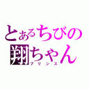 とあるちびの翔ちゃん（プリンス）