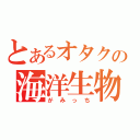 とあるオタクの海洋生物（がみっち）