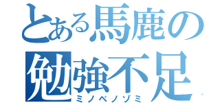 とある馬鹿の勉強不足（ミノベノゾミ）