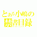 とある小嶋の禁書目録（ライトニング）