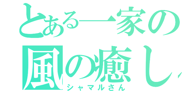 とある一家の風の癒し手（シャマルさん）