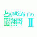 とある吃布丁の麟翔哥Ⅱ（我也要：（）