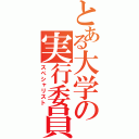 とある大学の実行委員（スペシャリスト）