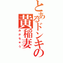 とあるドンキの黄稲妻Ⅱ（みかちゅう）