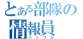 とある部隊の情報員（バンブル）